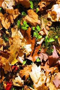 2020 Weekly Planner Fall Leaves Acorn Caps 134 Pages