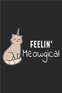 Feelin' Meowgical