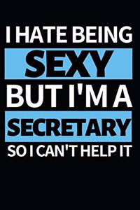 I Hate Being Sexy But I'm A Secretary