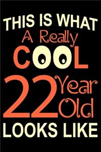 A Really Cool 22 Year Old