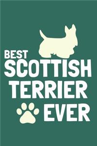 Best Scottish Terrier Ever