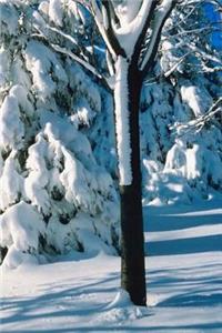 2019 Weekly Planner Winter Theme Snow Covered Evergreens 134 Pages
