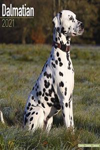 Dalmatian 2021 Wall Calendar