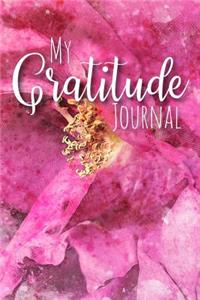 My Gratitude Journal