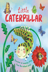 Nature Stories: Little Caterpillar