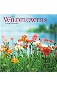 Wildflowers 2021 Mini 7x7