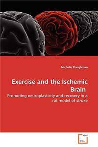 Exercise and the Ischemic Brain