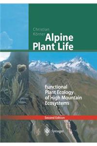 Alpine Plant Life