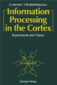 Information Processing in the Cortex