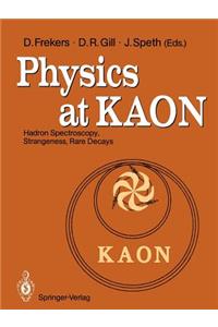Physics at Kaon