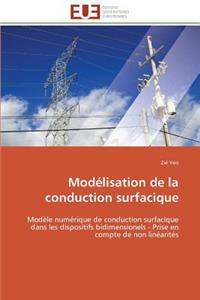 Modélisation de la conduction surfacique