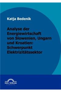 Analyse der Energiewirtschaft von Slowenien, Ungarn und Kroatien