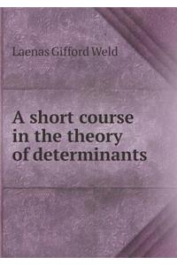 A Short Course in the Theory of Determinants