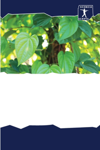 Количественный скрининг микроэлементов &