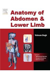 Anatomy of Abdomen and Lower Limb