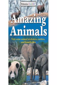 AMAZING ANIMALS