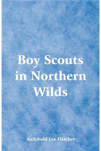 Boy Scouts in Northern Wilds