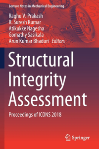 Structural Integrity Assessment