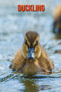 Duckling