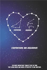 2020 The Astrology of Love between Capricorn and Aquarius