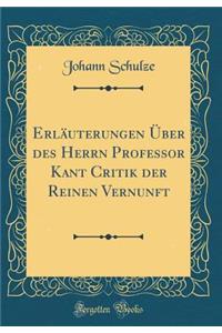 ErlÃ¤uterungen Ã?ber Des Herrn Professor Kant Critik Der Reinen Vernunft (Classic Reprint)