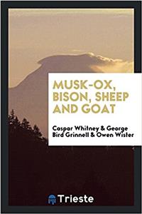 Musk-ox, bison, sheep and goat