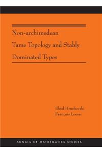 Non-Archimedean Tame Topology and Stably Dominated Types