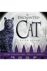 Enchanted Cat