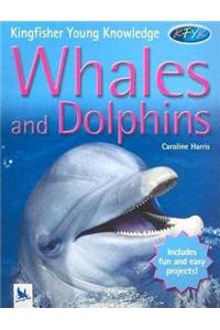 Whales And Dolphins