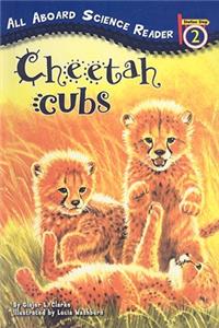 Cheetah Cubs