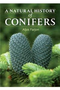 A Natural History of Conifers