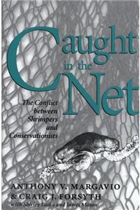 Caught in the Net