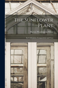 Sunflower Plant