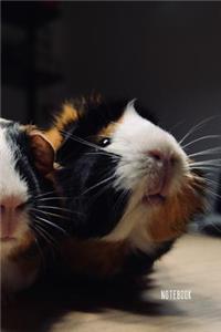 Guinea Pig Notebook