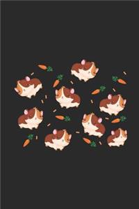 Guinea Pig Pattern