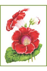 Notebook Gloxinia