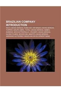 Brazilian Company Introduction