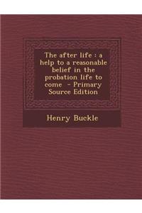 The After Life: A Help to a Reasonable Belief in the Probation Life to Come - Primary Source Edition