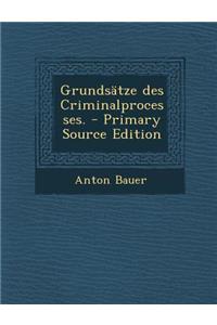 Grundsatze Des Criminalprocesses. - Primary Source Edition