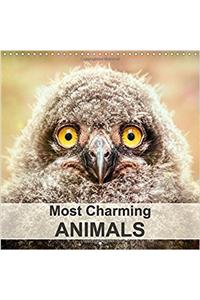 Most Charming Animals 2017