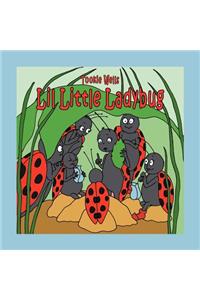 Lil Little Ladybug