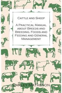 Cattle and Sheep - A Practical Manual about Breeds and Breeding, Foods and Feeding and General Management