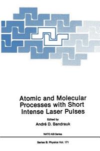 Atomic and Molecular Processes with Short Intense Laser Pulses