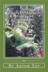 Waves of Madness, Waters of Tranquility