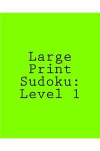 Large Print Sudoku