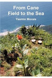 From Cane Field to the Sea
