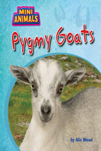 Pygmy Goats
