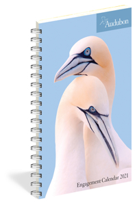 Audubon Engagement Calendar 2021