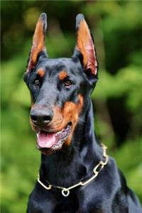 Portrait of a Proud Doberman Dog Journal