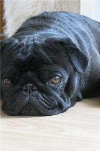 Precious Black Pug Dog Journal